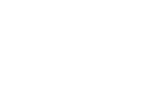 Wahl Group