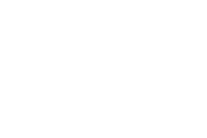 DieMarketingprofiler