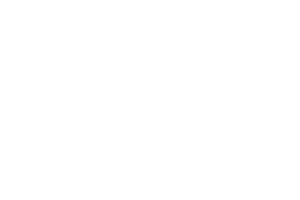 FEIG