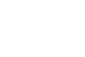 SWG